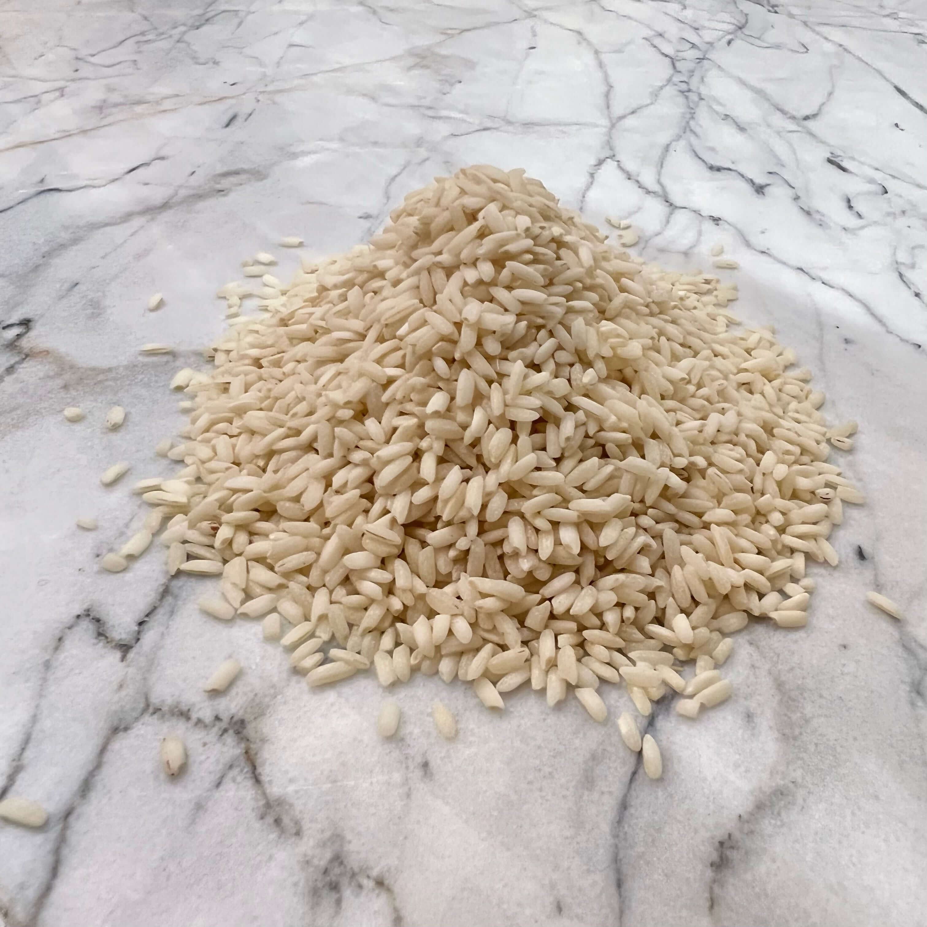 Riz Champa culture familliale - PRO - Image 2